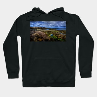 Dunbar East Beach #2 Hoodie